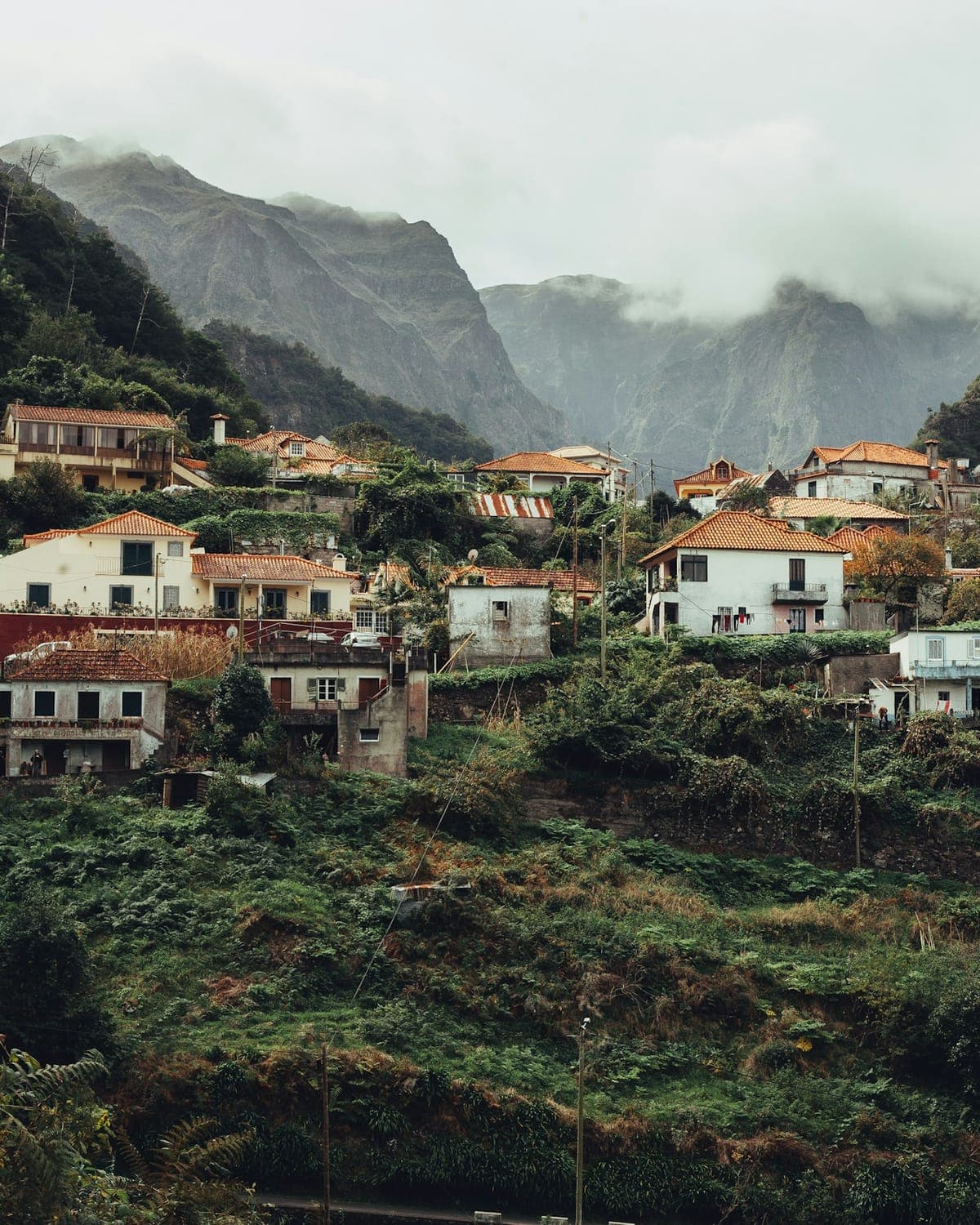 The terraces, Madeira